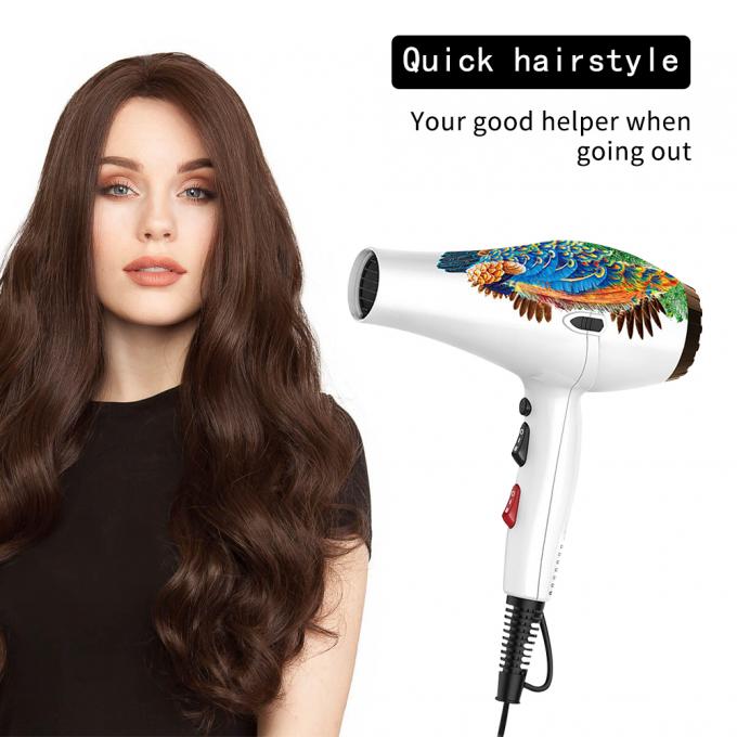 Multifunctional 2100W 2 Speed AC Hair Dryer Private Label Portable Blow