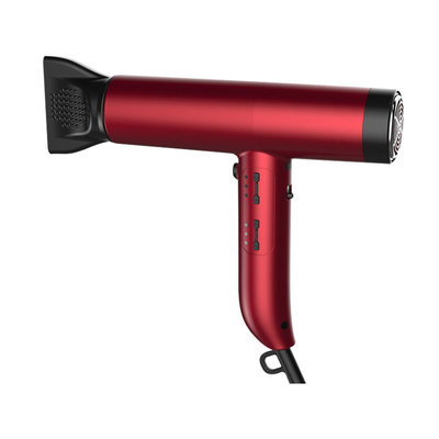 Low Noise BLDC Hair Dryer Small Lightweight High Speed Blow Dryer For Beauty Salon