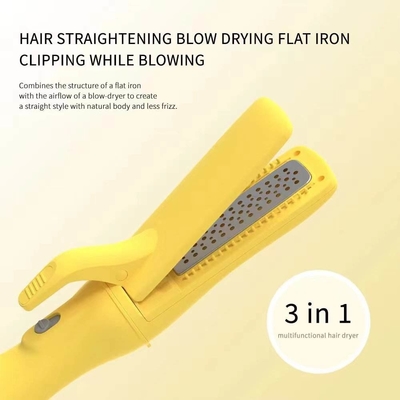 Hotel / Household Ionic Hair Blow Dryer Titanium Plate Dual Voltage