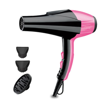 Rohs 230V Negative Ionic AC Hair Dryer With Diffuser And Concentrator