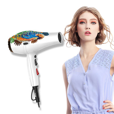 Multifunctional 2100W 2 Speed AC Hair Dryer Private Label Portable Blow Dryer