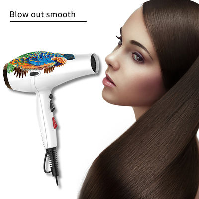 Multifunctional 2100W 2 Speed AC Hair Dryer Private Label Portable Blow Dryer