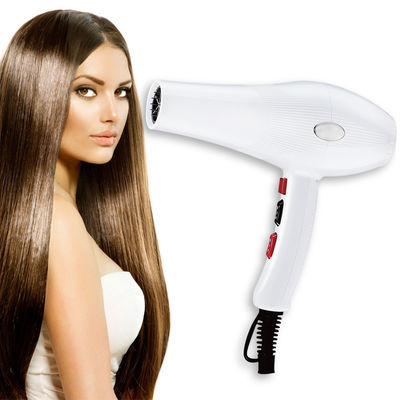 AC 5615 2500W High Power Blow Dryer One Step Hair Dryer And Volumizer