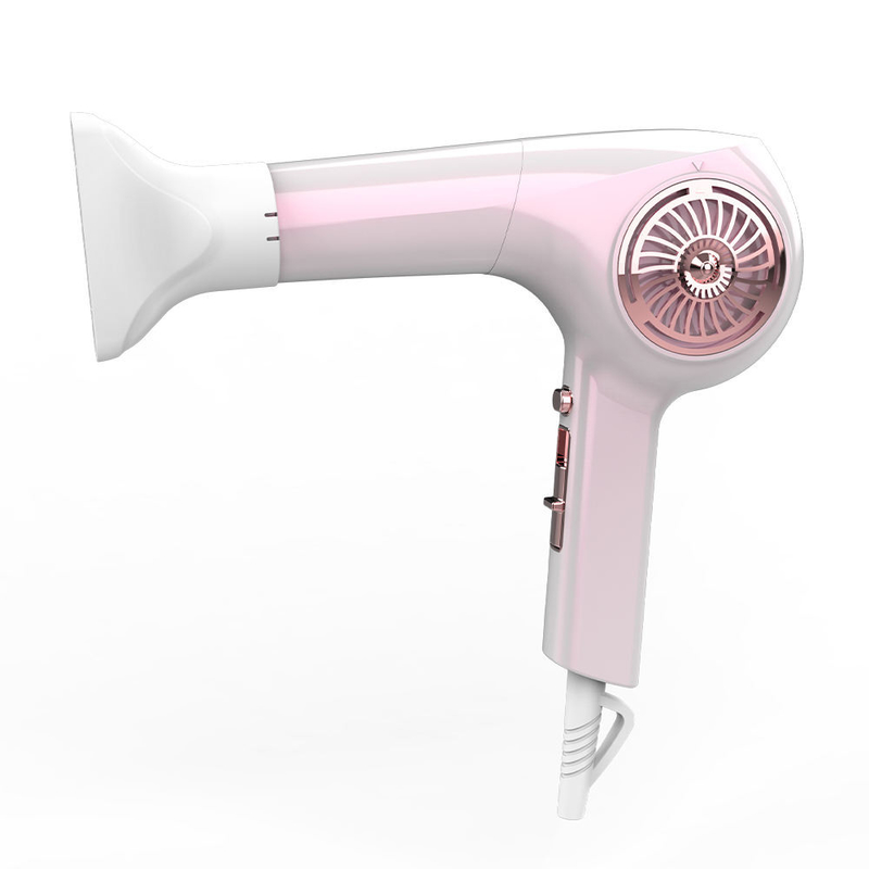 Professional Brushless Motor Ionic Hair Blow Dryer With Diffuser Magnetic Nozzles
